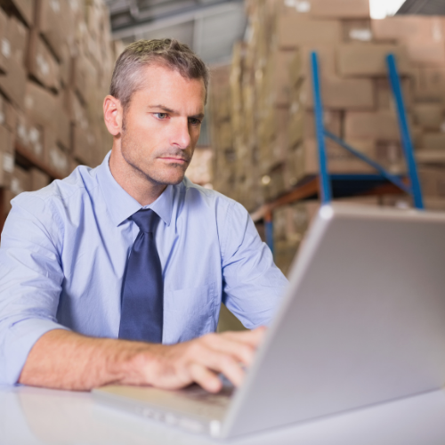 Warehouse Manager looking at laptop