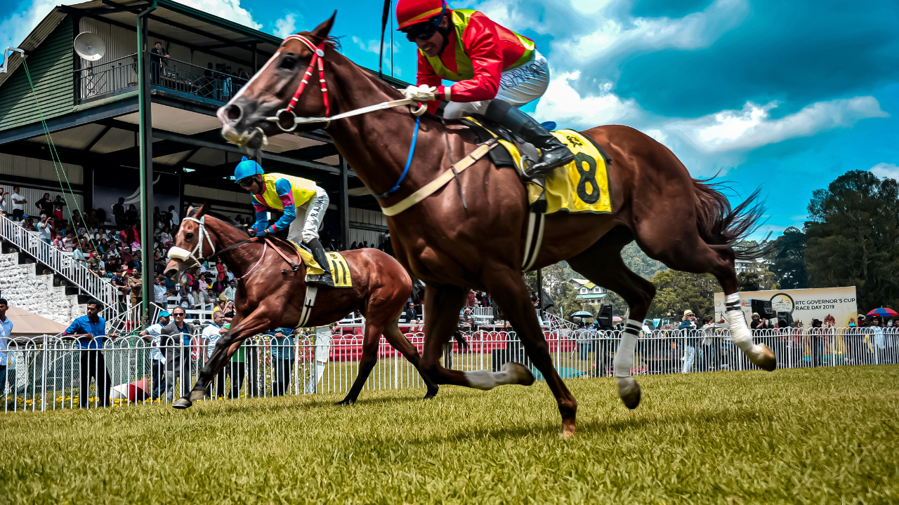 Horse racing venue Horse racing venue