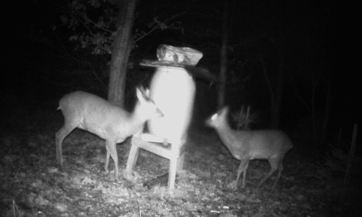 Night Vision Night Vision